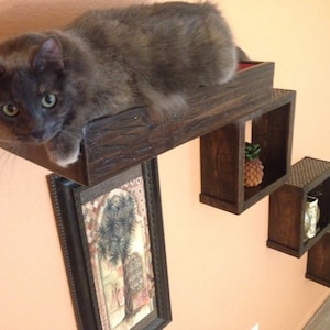 Set of Four: Three Floating Cat Cube Shelves and One Floating Cat Bed Floating Cat Shelves Cat Perch Reclaimed Wood Shelves image 1