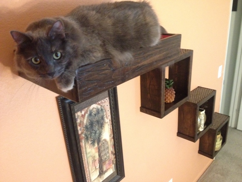 Set of Four: Three Floating Cat Cube Shelves and One Floating Cat Bed Floating Cat Shelves Cat Perch Reclaimed Wood Shelves image 1