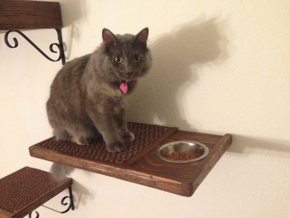 cat feeder shelf