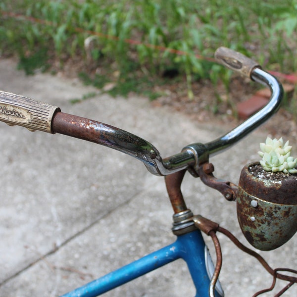 Bike Planter, Rusty