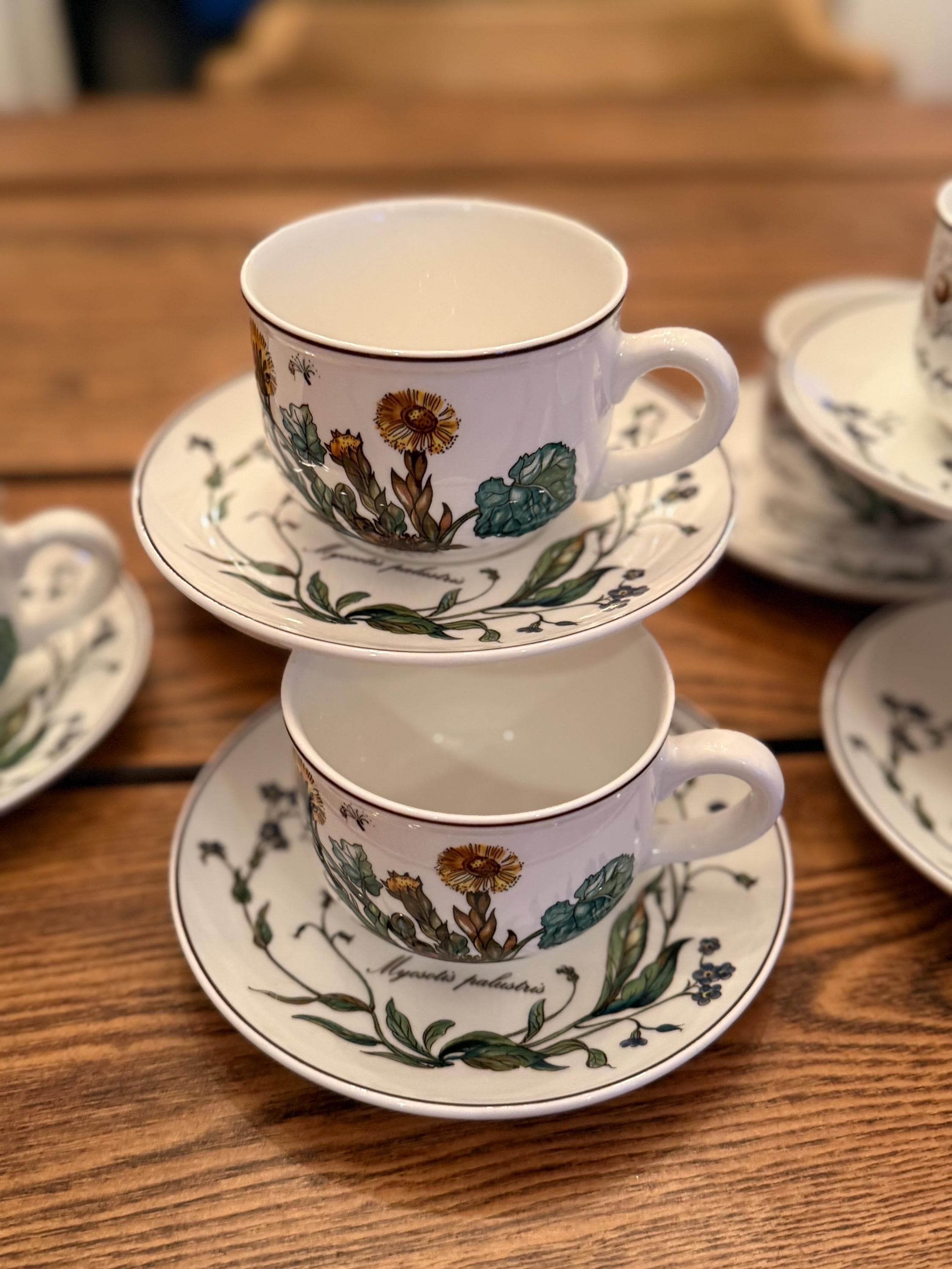 Villeroy Boch Botanica - Etsy