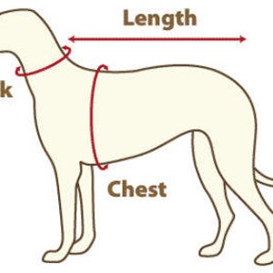 May include: Diagram of a dog with red lines indicating measurement points for pet apparel. The diagram labels the neck, chest, and length of the dog, providing guidance for accurate sizing when purchasing dog clothing.