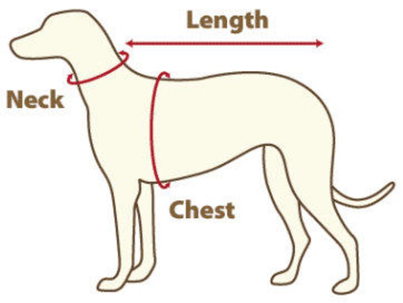 May include: Diagram of a dog with red lines indicating measurement points for pet apparel. The diagram labels the neck, chest, and length of the dog, providing guidance for accurate sizing when purchasing dog clothing.