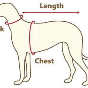 Op de afbeelding: Diagram van een hond met rode lijnen die meetpunten voor dierenkleding aangeven. Het diagram labelt de nek, borst en lengte van de hond, en biedt visuele begeleiding voor nauwkeurige maatvoering bij het kopen van honden kleding.