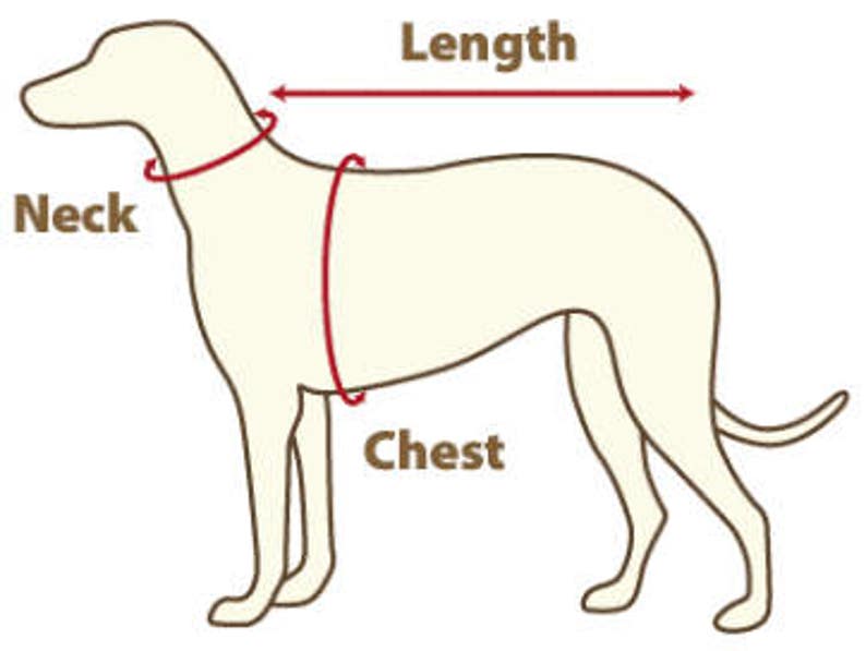 Op de afbeelding: Diagram van een hond met rode lijnen die meetpunten voor dierenkleding aangeven. Het diagram labelt de nek, borst en lengte van de hond, en biedt visuele begeleiding voor nauwkeurige maatvoering bij het kopen van honden kleding.