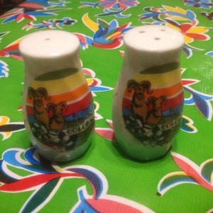 Vintage ceramic souvenir salt and pepper shakers from Colorado