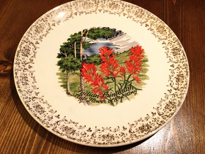 Vintage ceramic Wyoming Indian Paintbrush State Flower of Wyoming souvenir plate