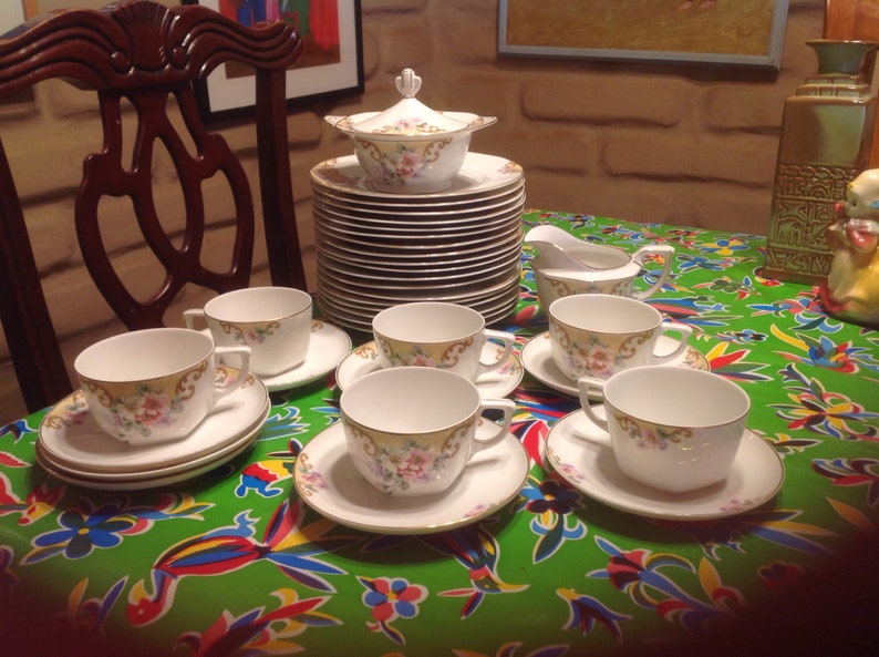 Vintage TK Thun Bohemia Czechoslovakia Windemere porcelain China dish set Dinnerware Sets Dining