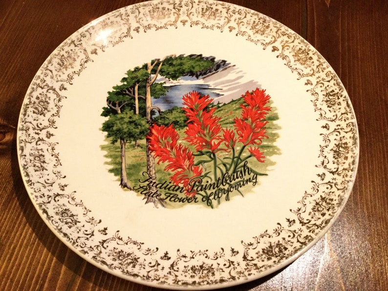 Vintage ceramic Wyoming Indian Paintbrush State Flower of Wyoming souvenir plate