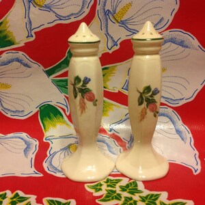 Vintage Keramik großes Paar Salz- und Pfefferstreuer mit Blumenmuster
