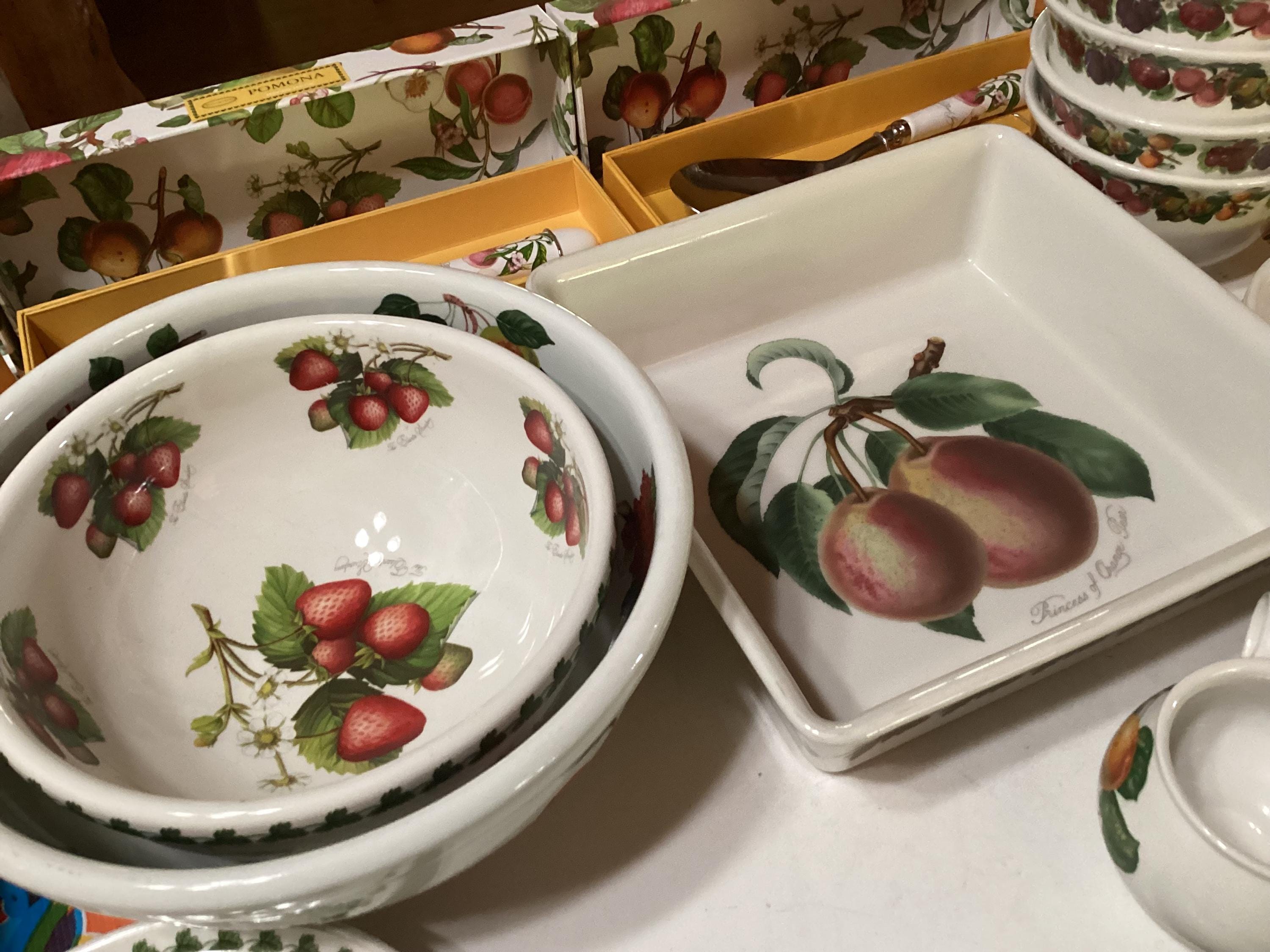 Vintage Portmeirion Susan Williams-ellis Pomona Dinnerware Set