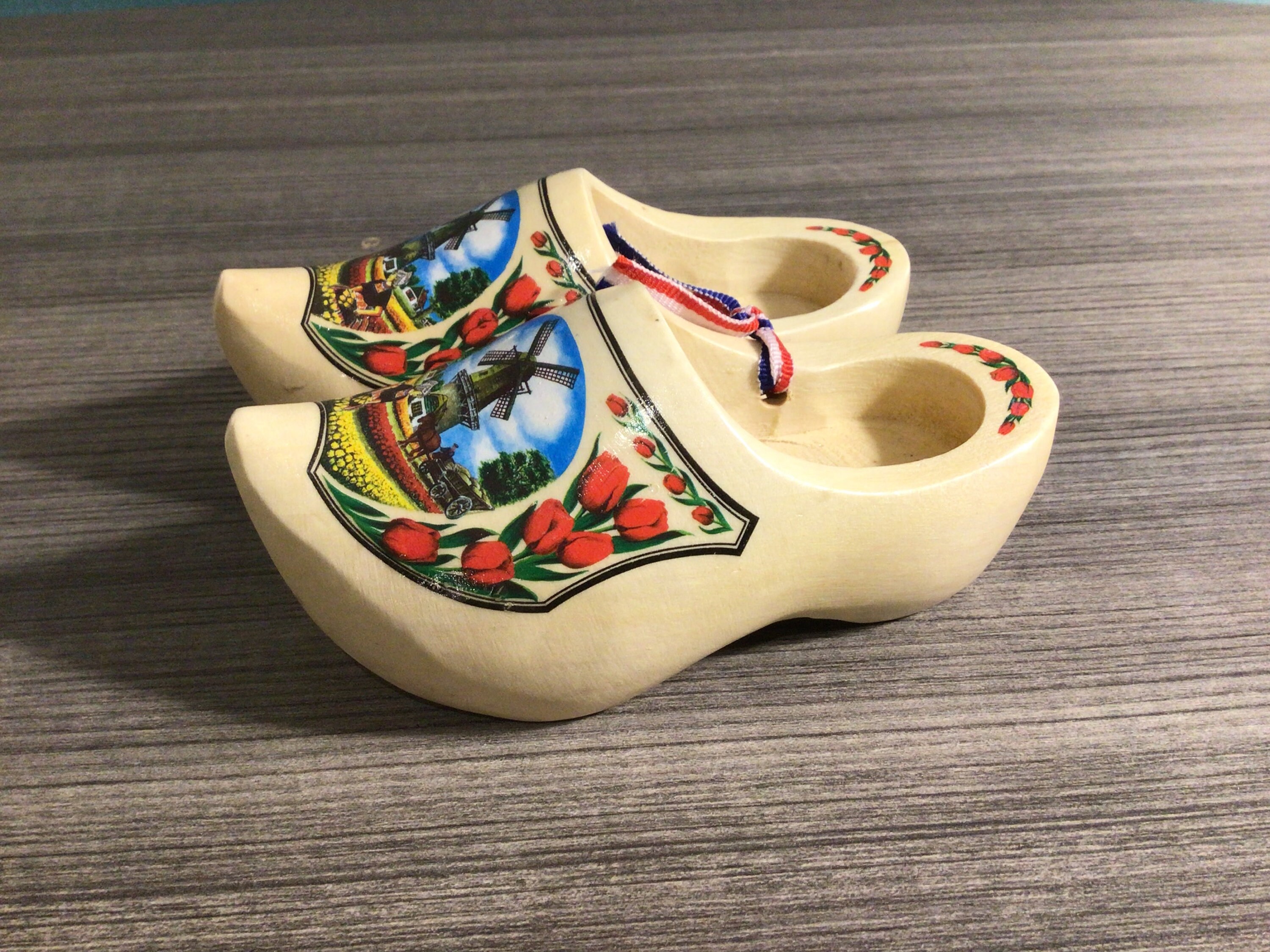 グリーンフォレスト 青森市/ガーデニングショップ🌱 | 入荷情報