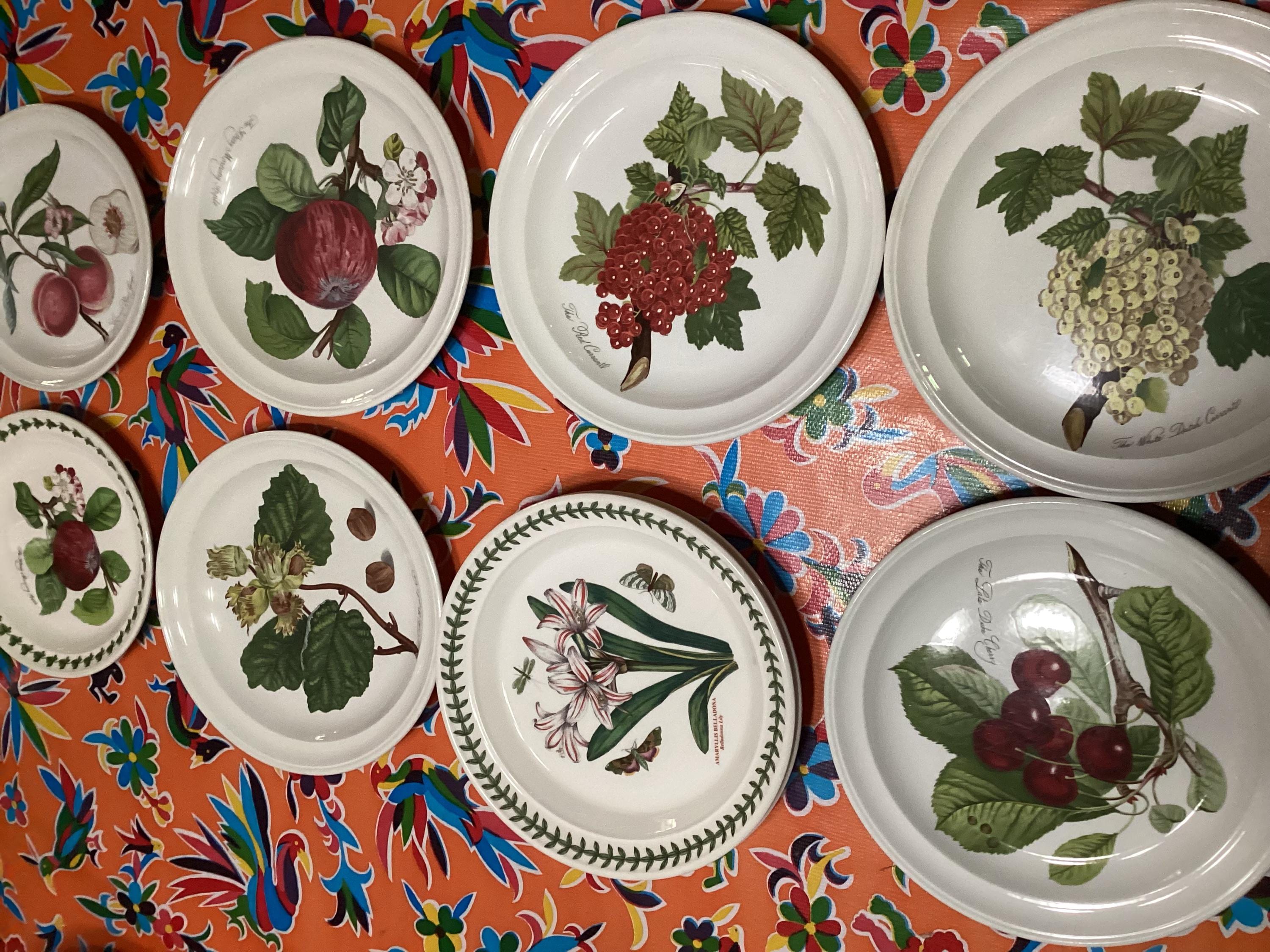 Vintage Portmeirion Susan Williams-ellis Pomona Dinnerware Set
