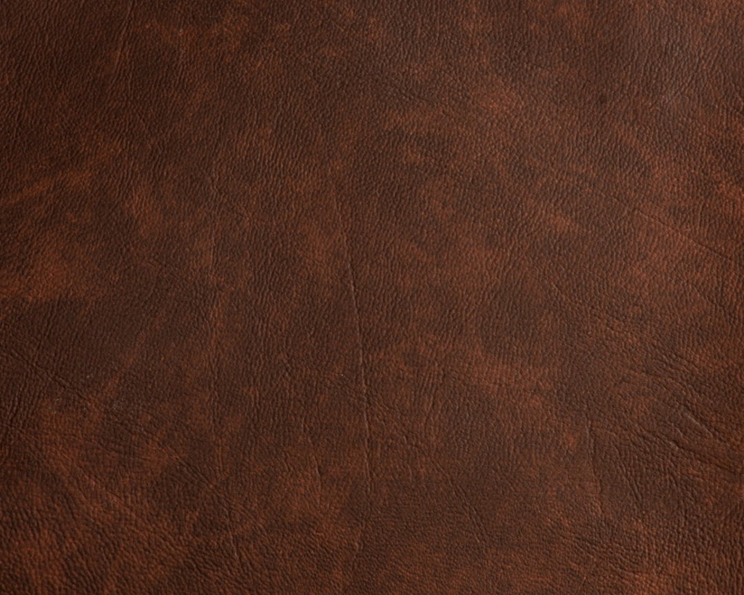 Brown Reptile Faux Leather | Outback Coffee by Regal Fabrics | Vinyl  Upholstery Fabric | 54 Wide | By the Yard