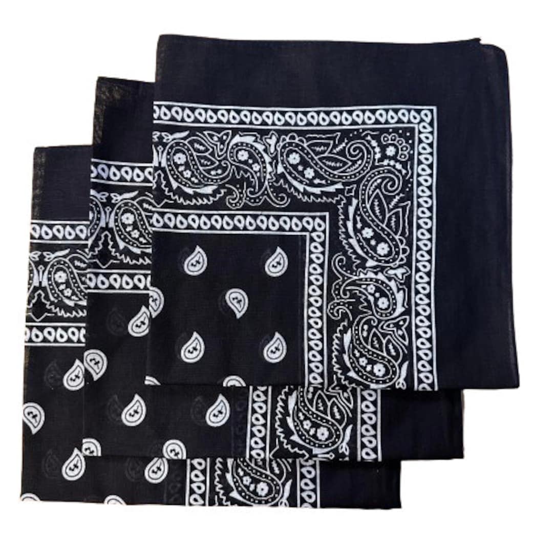 Silver 22 x 22 Paisley Print Bandana – Bandanas Only