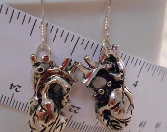 Valentine's Anatomically Correct Heart Jewelry