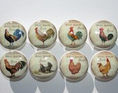 Rooster Chicken Farm Dresser Drawer Cabinet Knobs Set of 8