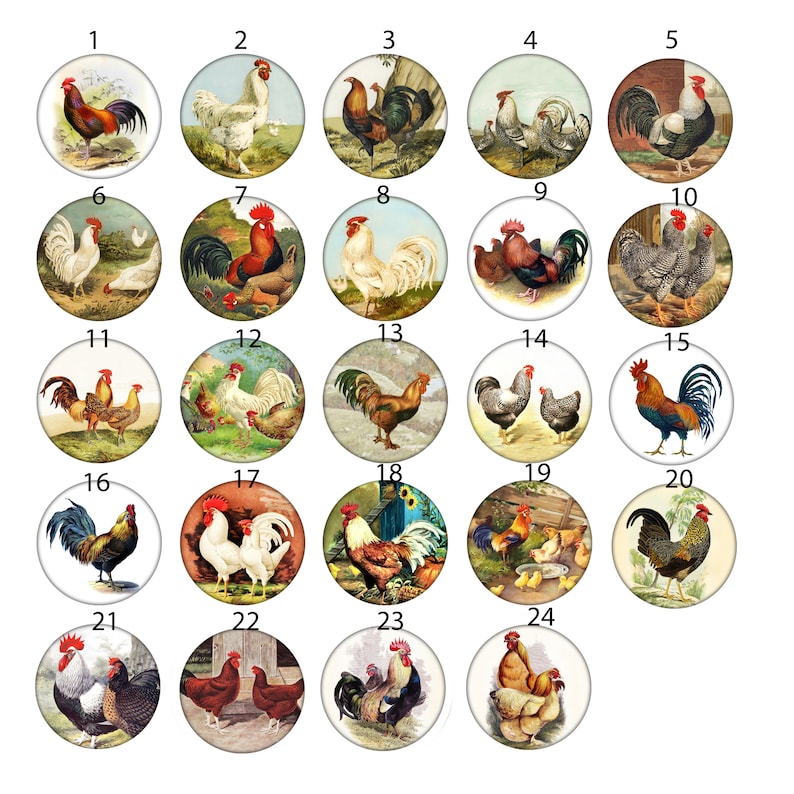 Set of 8 Chicken Hen Rooster Drawer Knobs Pulls Etsy