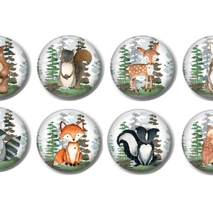 May include: Eight watercolor illustrations of woodland animals on a white background. Each animal is surrounded by a green forest scene. The animals include a bear, squirrel, deer, rabbit, raccoon, fox, skunk, and owl.