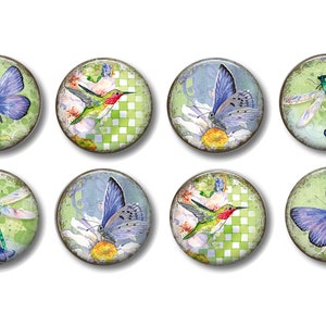 Set of 8, Vintage Butterfly Dragonfly Hummingbird Knobs, Cabinet Knobs, Desk Knobs, Dresser Drawer Knobs, Drawer Knobs, Pulls