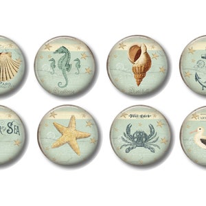 Set of 8, Nautical Knobs, Nautical Room Decor, Cabinet Knobs, Drawer Knobs, Dresser Drawer Knobs, Shells, Seahorse, Anchor, Crab, Seagull