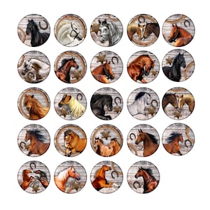 Set of 8, Western Horse Ranch Farm Knobs, Animal Knobs, Dresser Drawer Knobs, Drawer Knobs, Cabinet Knobs,Price is for 8 Knobs