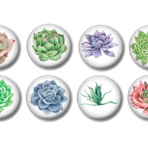 May include: Eight round, white buttons with different watercolor succulent designs. The succulents are in shades of green, pink, purple, and blue.