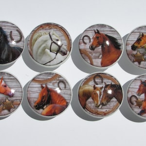 May include: Set of eight round cabinet knobs featuring horse portraits. Each knob has a different horse image, with a rustic wood-grain background, rope, and horseshoe accents. The horses are various colors, including black, white, and brown.