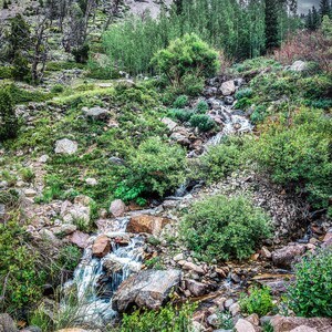 20260708 - Beartooth Pass Waterfall