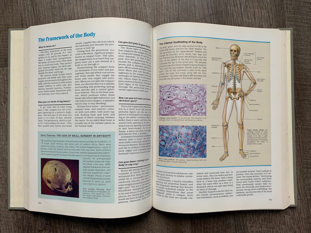 Abc's of the Human Body ANATOMY BOOK Photo Reference Etsy