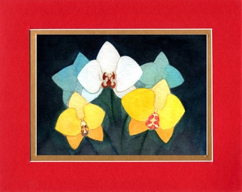 Colorful Orchids - 8"x10" Double matted archival prints entirely made by Native American Artist Daniel Ramirez- Image Size 5"x7".