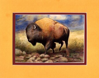 American Bison - 8"x10" Double matted archival prints entirely made by Native American Artist Daniel Ramirez