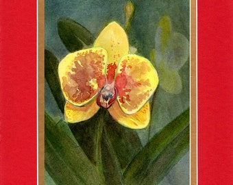 Yellow and Red Orchid 2021 - 8"x10" Double matted archival prints entirely made by Native American Artist Daniel Ramirez- Image Size 5"x7".