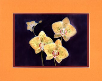 Tiger Orchids 2021 - 8"x10" Double matted archival prints entirely made by Native American Artist Daniel Ramirez