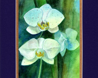 White Orchids  2022 - 8"x10" Double matted archival prints entirely made by Native American Artist Daniel Ramirez- Image Size 5"x7".
