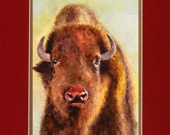 American Buffalo - 8"x10" Double matted archival prints entirely made by Native American Artist Daniel Ramirez