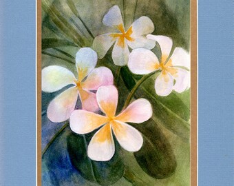 White Plumaria 2021 - 8"x10" Double matted archival prints entirely made by Native American Artist Daniel Ramirez- Image Size 5"x7".
