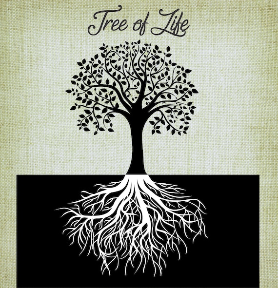 Free Free Tree Of Life Svg Vector 428 SVG PNG EPS DXF File