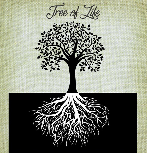 Free Free Tree Of Life Svg Vector 428 SVG PNG EPS DXF File