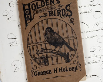 英語版　1976年発行　A closer Look at BIRDS 英語版 1976年発行 A closer Look at BIRDS 本
