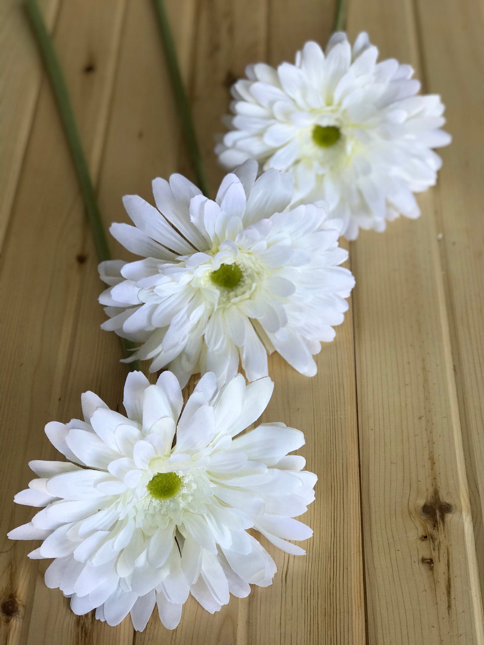 Gerber Daisy white silk floral floral bush spring flowers Etsy