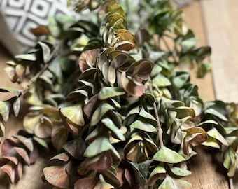 May include: A close-up of faux eucalyptus branches with green and reddish-brown leaves. The leaves have a layered, textured appearance. The branches are arranged on a wooden surface, with a decorative pillow in the background.