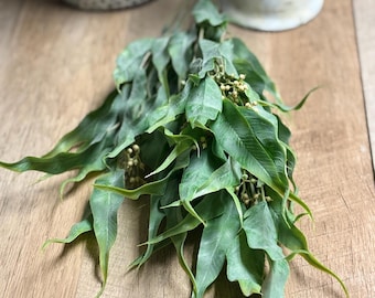 Faux Eucalyptus Bush, Trailing Greenery Vine, Farmhouse Decor
