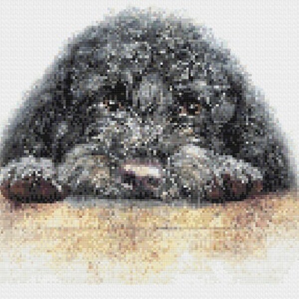 Cockerpoo Embroidery - Etsy