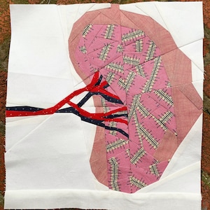 Spleen Organ Foundation Paper Piecing Pattern