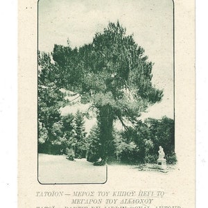 1912-1913 Grecia Cartolina postale di Atene Giardino di Tatoion