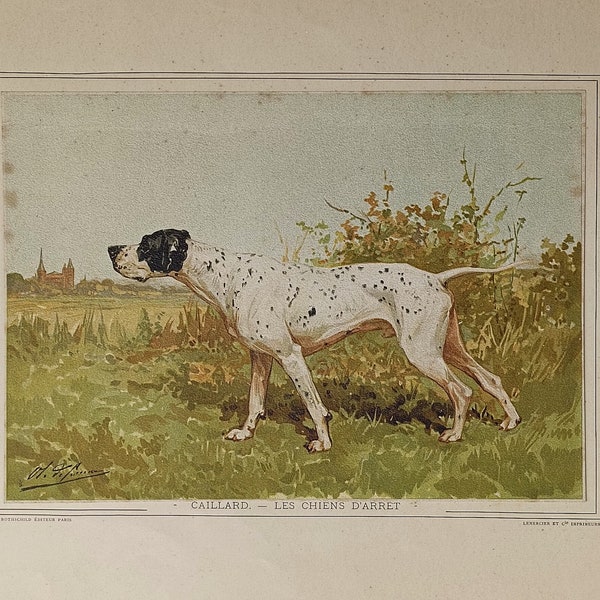 1890 Caillard Les Chiens d'Arrêt Chromolithograph O. De Penne J. Rothschild