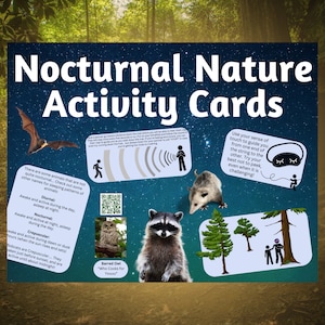 Activiteitskaarten nachtelijke natuur