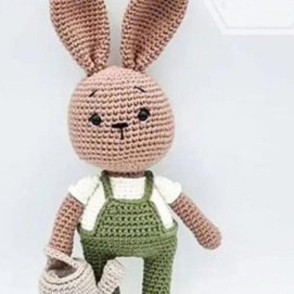 Fab crochet pattern PDF plush Amigurumi Bunny rabbit Gardener with watering can and carrots in 4ply
