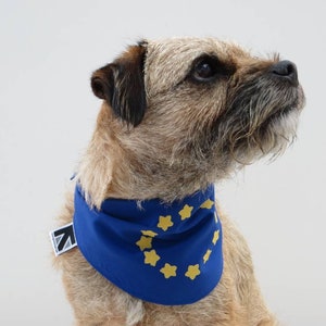 European Union EU Flag Dog Bandana image 5
